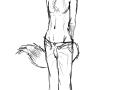 crit_1228199050639_Foxguy.png